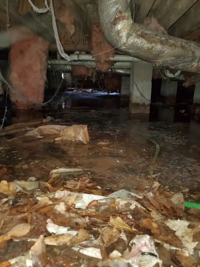Crawl space flood assessment for Leak Detection & Repair in Lower Allen